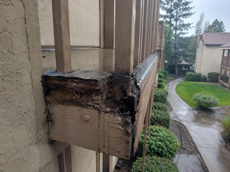 Punk wood exposed at a balcony rim joist after guard post removal